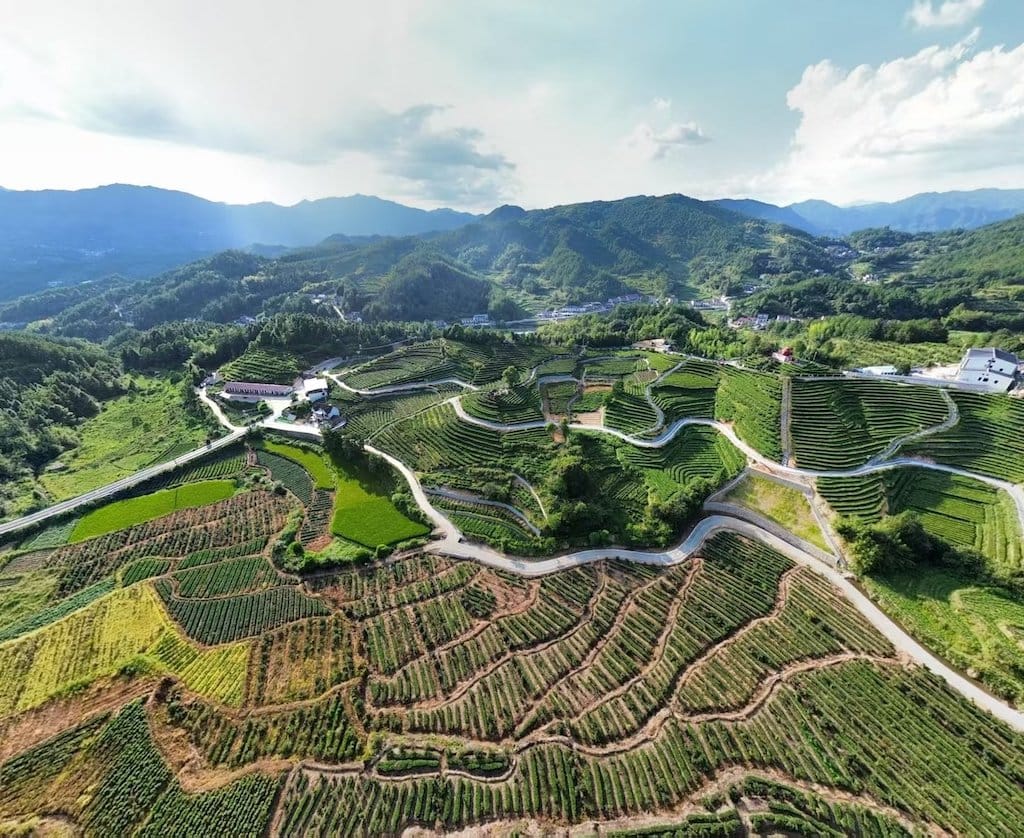 Tiancha Valley Garden
